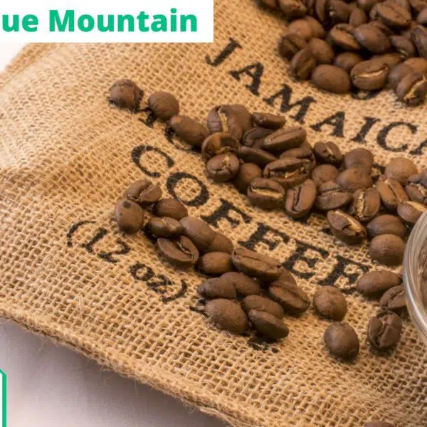 Café Blue Mountain jamaica